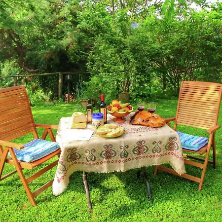 度假居 In With Pool *