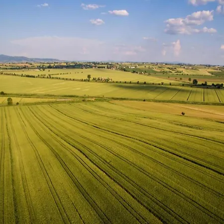 In With Pool Cortona