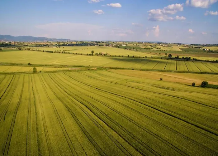 In With Pool Cortona